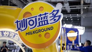 又一例从CFO到CEO，奶酪第一股妙可蓝多选出新任“解题人”